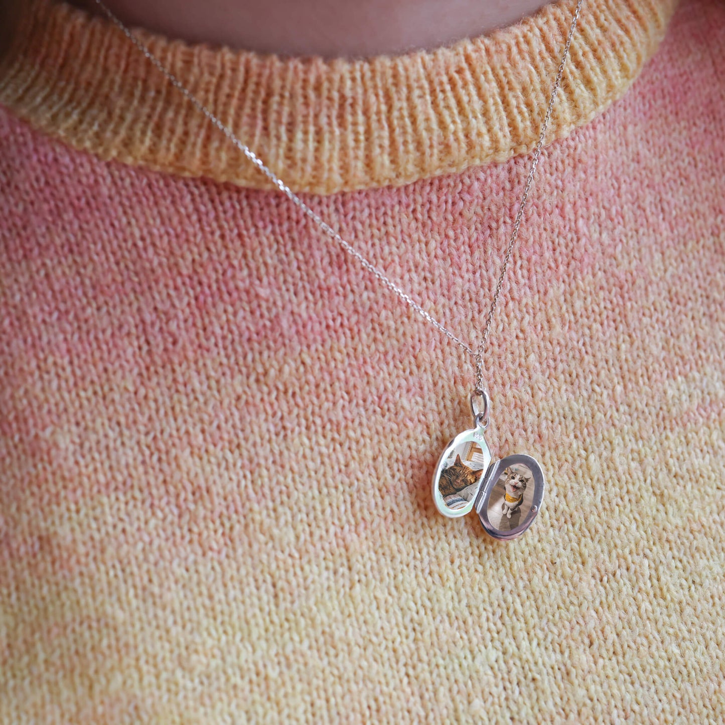 Silver oval locket with photos of two cats agains a sweater of yellow and orange.