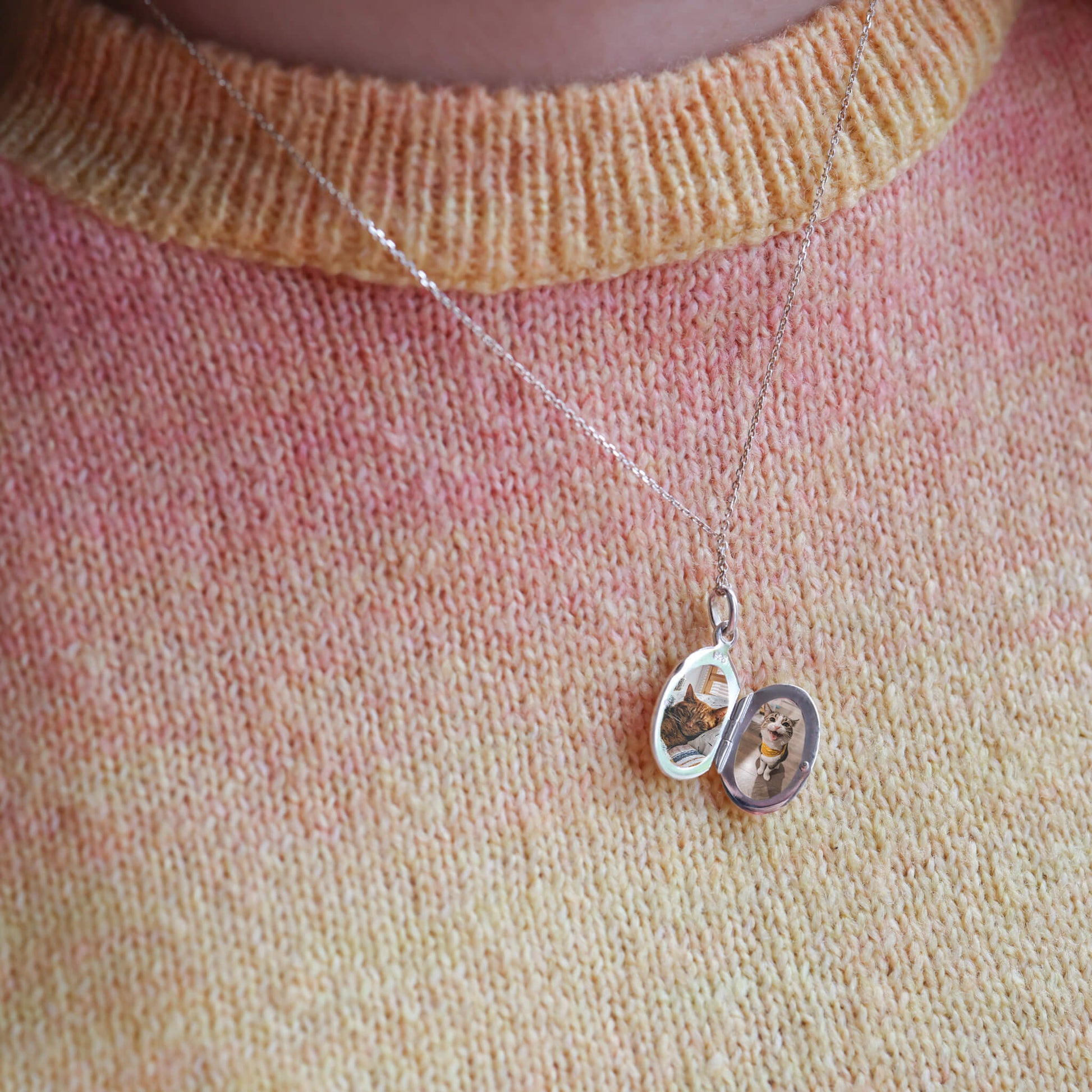 Silver oval locket with photos of two cats agains a sweater of yellow and orange.