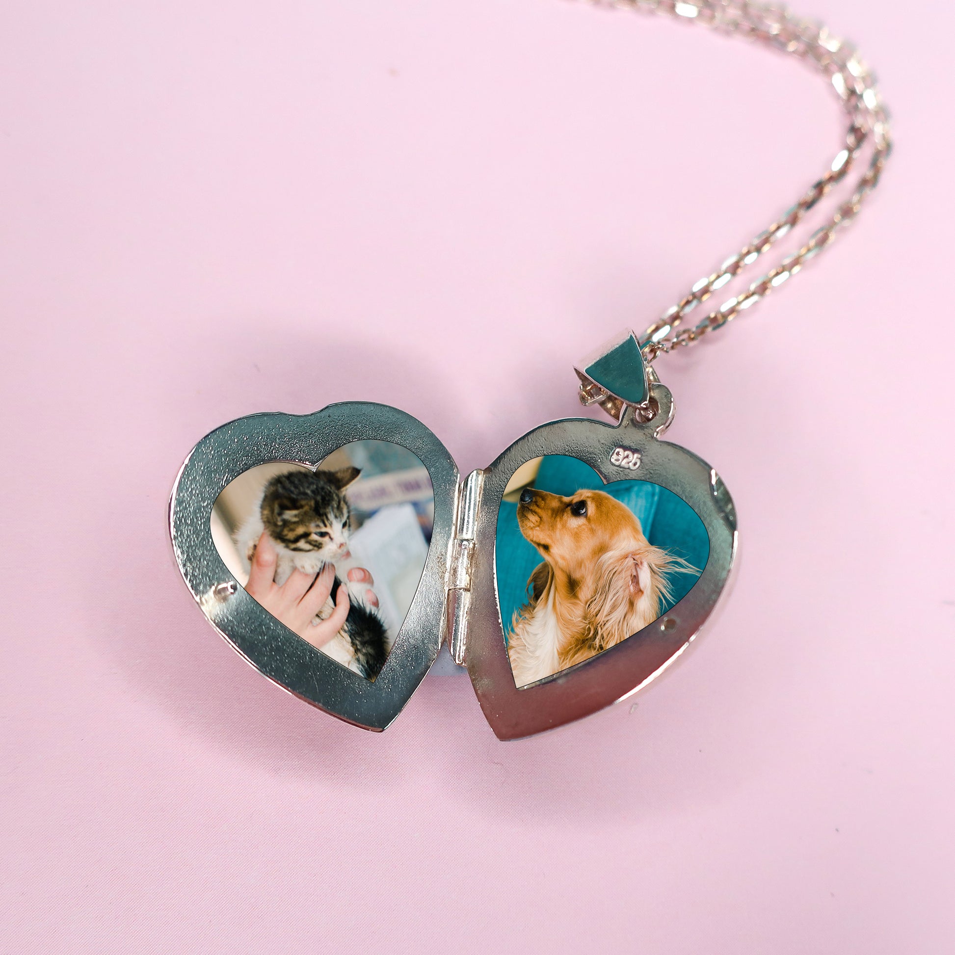 open double locket necklace containing a photo of a cat and a photo of a dog